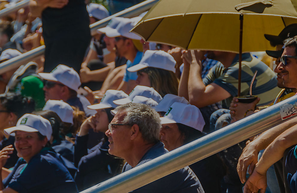 home-hover-link-safety